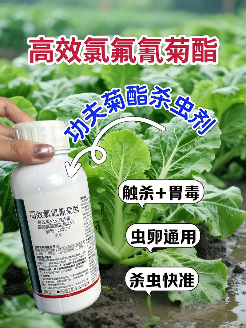 西双版纳代生中心:农药对供卵代生妈妈的危害